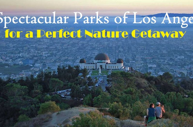 5 Spectacular Parks of Los Angeles for a Perfect Nature Getaway