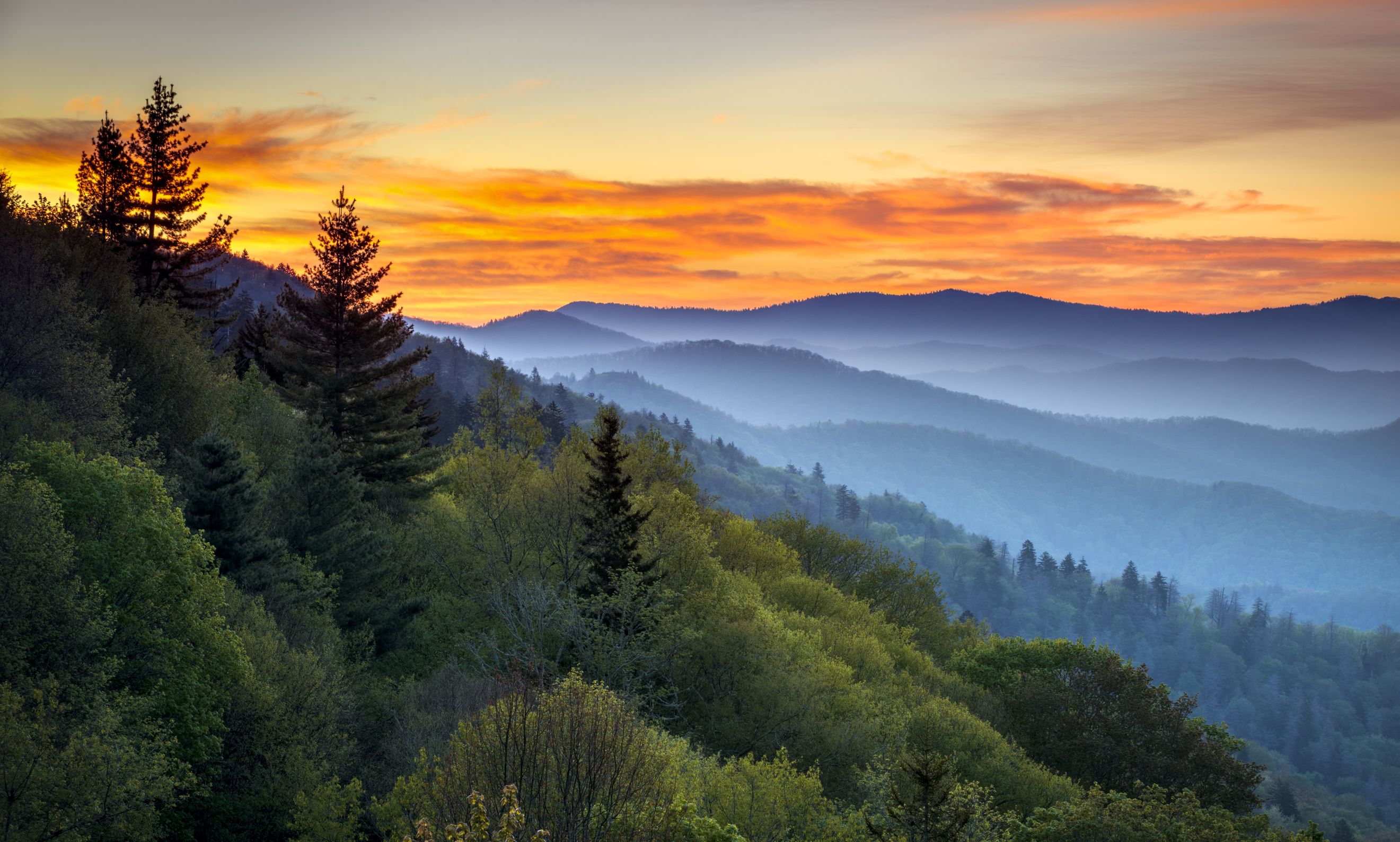 Weekend Getaway at the Great Smoky Mountains National Park