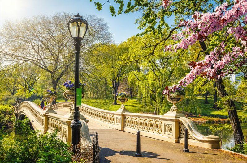 Discover New York's Crown Jewel: A Comprehensive Guide to Central Park